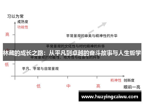 林葳的成长之路：从平凡到卓越的奋斗故事与人生哲学
